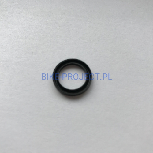 HSA129_bike_project (1).jpg