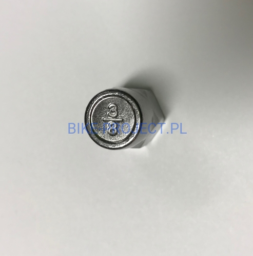 HMN387_bike_project (1).jpg