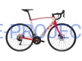 rower_szosowy_endurance_ridley_fenix_sl_disc.jpg