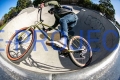 marin_muirwoods_bikeproject.jpg