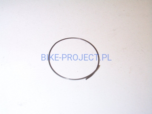 sprężynka_piasty Sturmey Archer HSA435.JPG